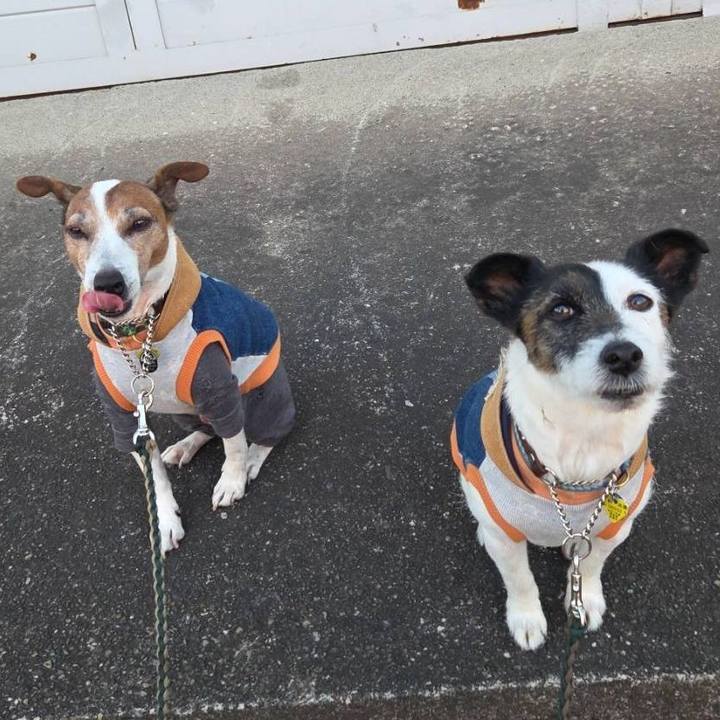 Cda185a5 fee1 469a 87c5 b68b3bdc3e0c 1769909561789