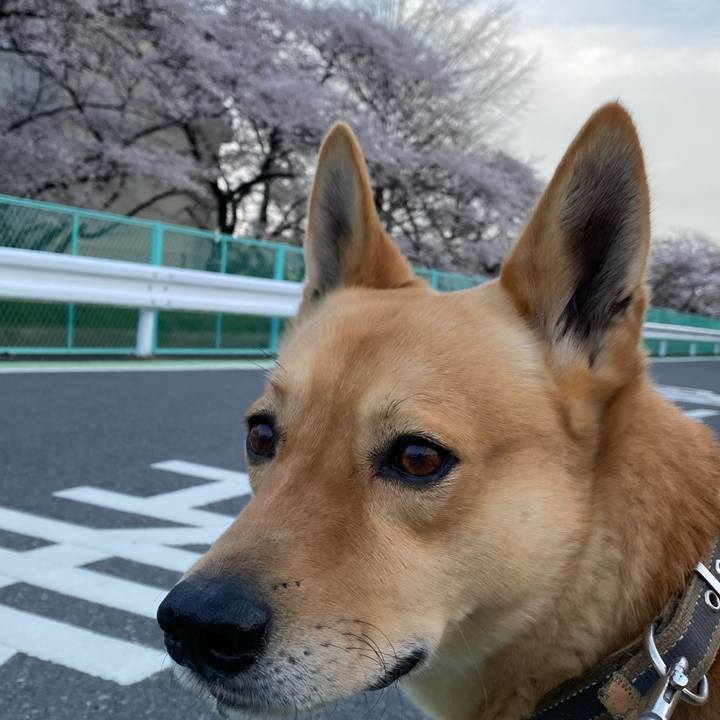 Cda19496 6de7 4b2d ba7a 36639d056ad7 1712484474361