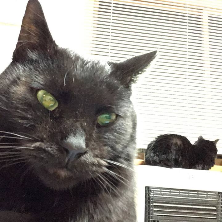 Cda1aa05 8873 428f 8164 a3ce9cea9846 1543313268483