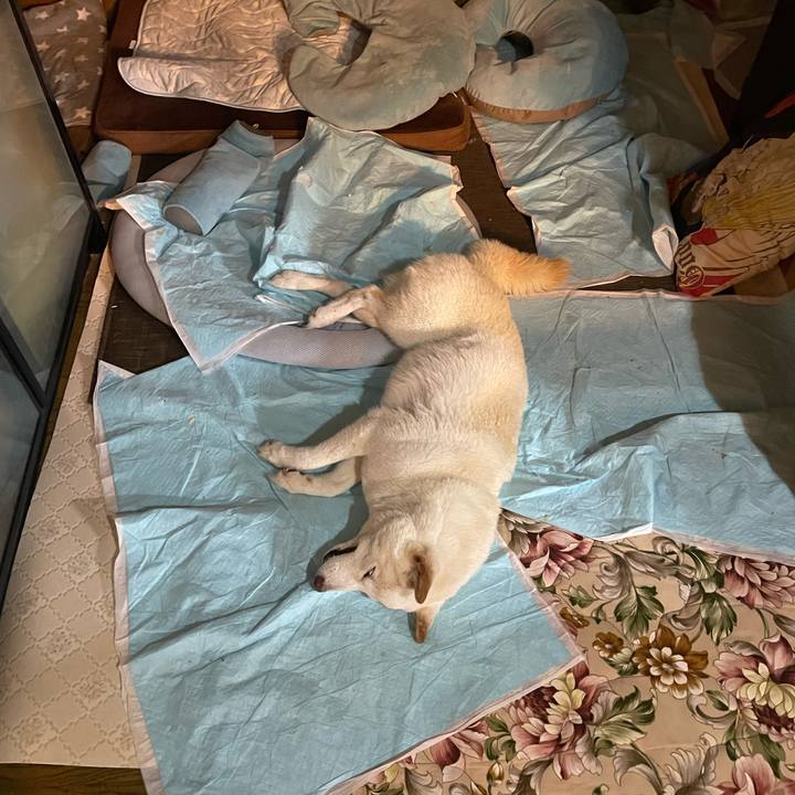 Cda1ad9d 41db 4b31 99d5 df152e0ac19f 1653054596502