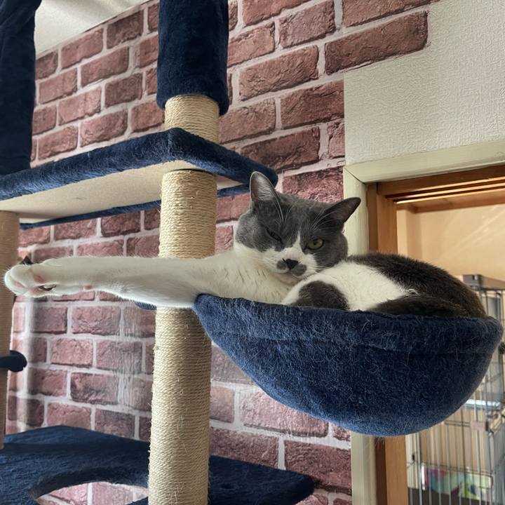 Cda1cbf2 b537 4f29 8841 9c298b856a7d 1660202342505