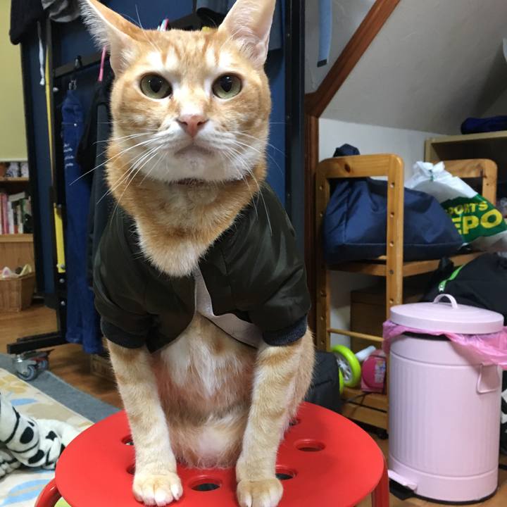 Cda258a7 d73c 47c0 8929 7f42033c1e01 1514545591821