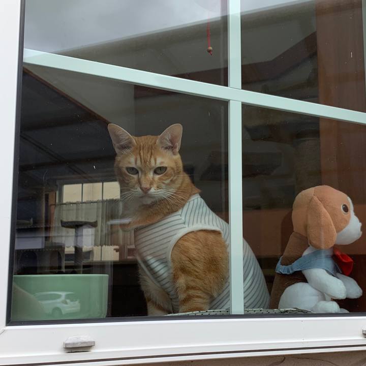 Cda27423 6bc0 40b5 bbc8 17dc8f57b880 1570343082458