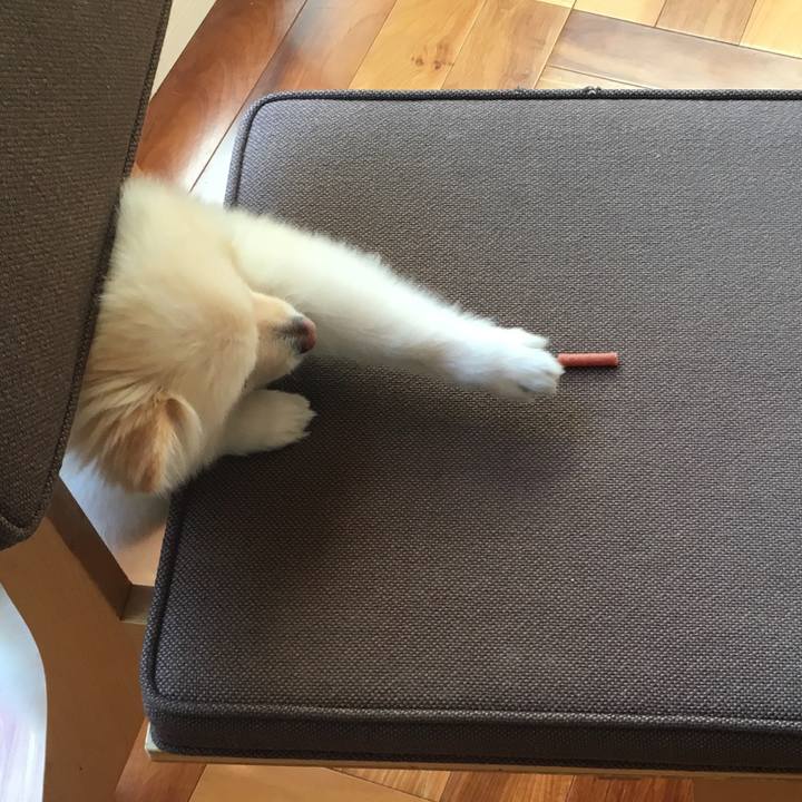 Cda28104 9707 457f 9a77 04a2759d2f1d 1543043397275