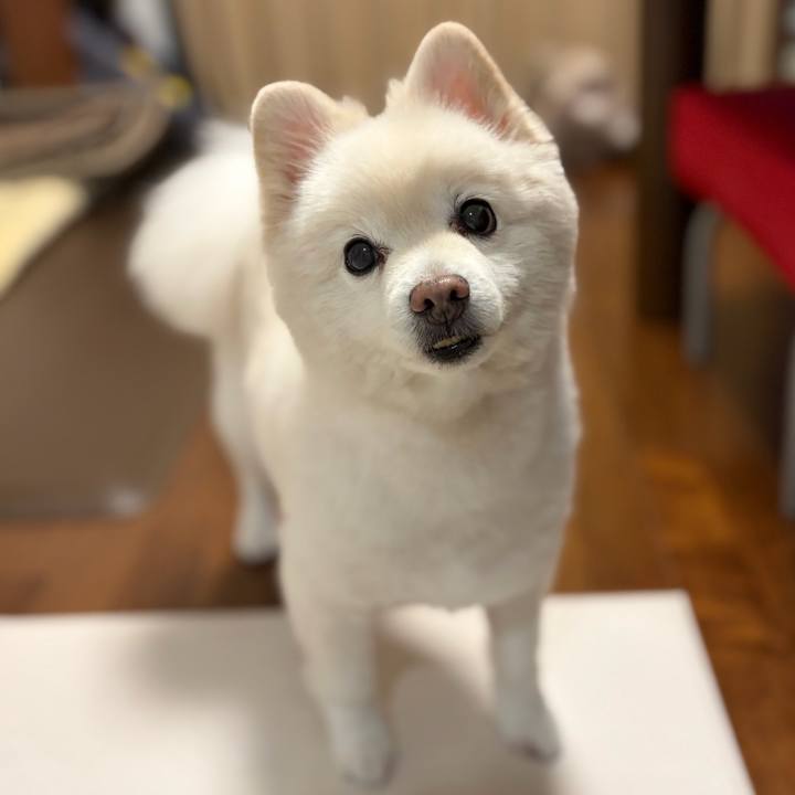 Cda29f2d c50d 40dc 8594 9bd8d1cc864b 1766320167355