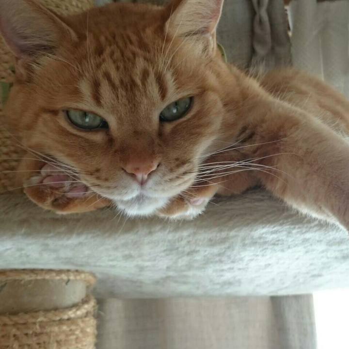 Cda2d23f 29ec 4d0c 9154 28c08ce63990 1515375206849