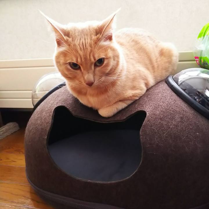 Cda2e2b1 fc7d 4633 b622 7008720e49eb 1609195118303