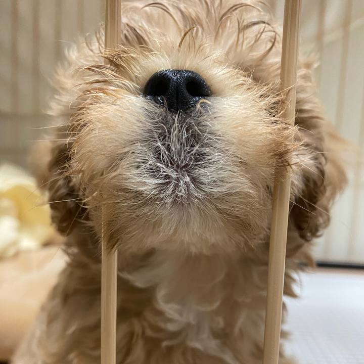 Cda31317 7e91 41d2 ad22 064b640fb560 1756943892419