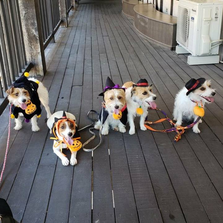 Cda31eba 7c1a 4be1 a679 62ba440bba21 1601863086103