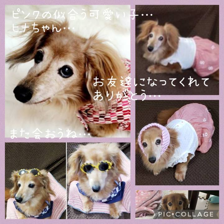 Cda34645 2955 4479 a6e0 675b20b2f8a5 1676381608000