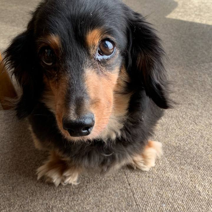 Cda352ee 4d4b 4a9f 8077 edd8ffd52fcf 1589405955753