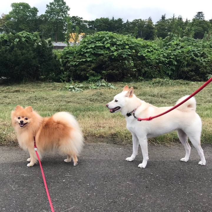 Cda3844b e9f7 4617 bc9a 3a8a20147ed4 1566272275866