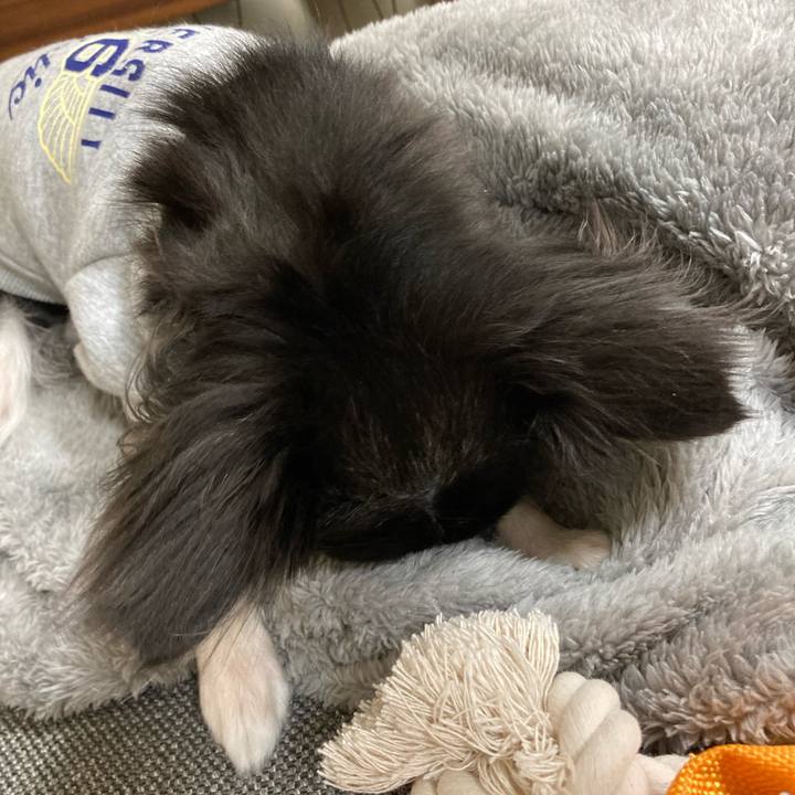 Cda3bfdd 5ed0 43b3 9035 df641488d258 1639317274007