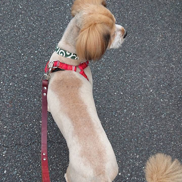 Cda3ee84 bf79 4a46 807c 9714505844b6 1562709472890