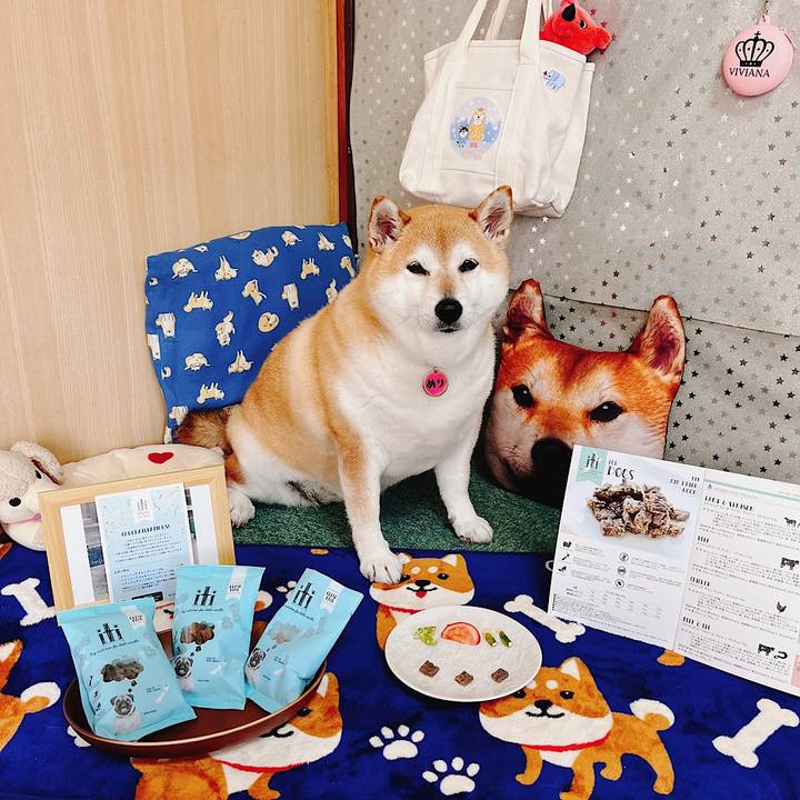 Cda3f238 ae65 4e5f 944c 11df606b36fd 1685935079651