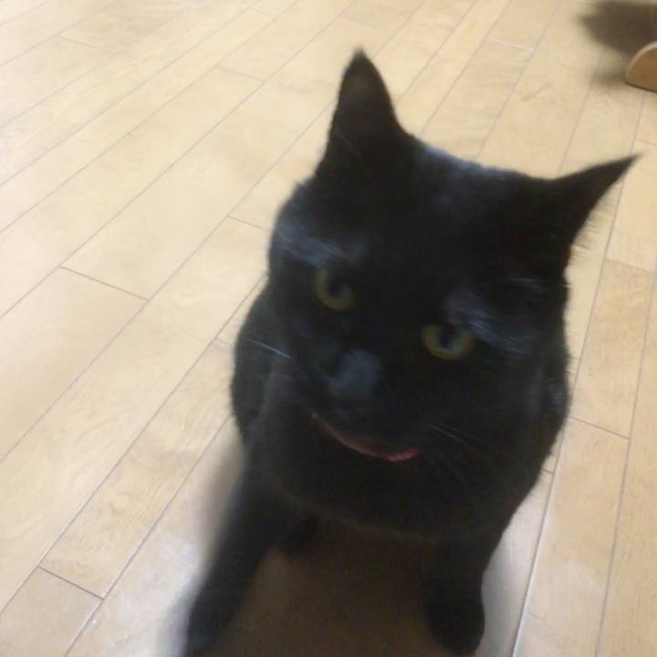 Cda3f529 733b 425a 8c72 daefc1bc008c 1524401994851