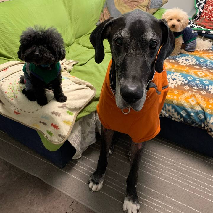 Cda424ef d9ae 4b40 9968 4d89040ac8c4 1575844862075