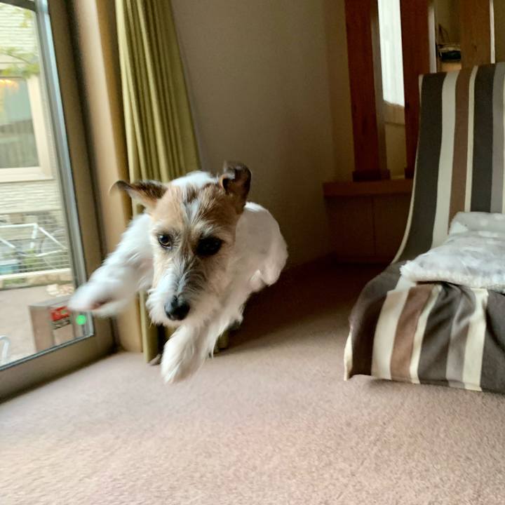 Cda42a3d 21c6 4925 9181 a37f6a37b5f9 1645344926109