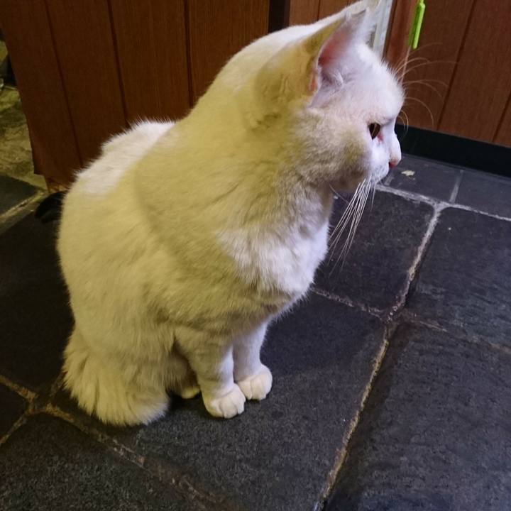 Cda43778 8cb4 48ce 8524 a0579fa9e902 1509697046119