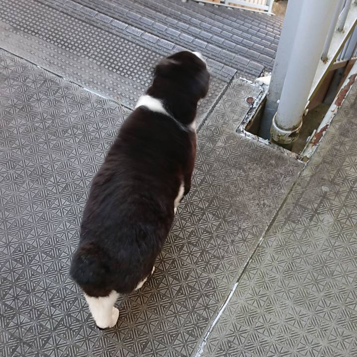 Cda47399 30a2 4f3e b13d 04c8c9b6f16d 1636169773888