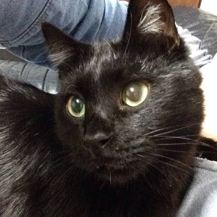 Cda475cf 3b4c 4636 bdef ad52de633f5a 1542195559028