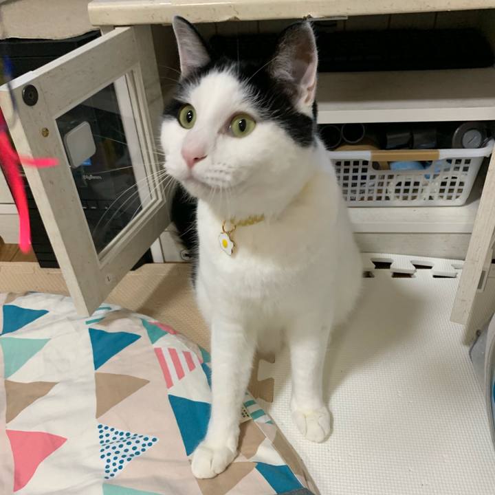 Cda483de ca8f 4596 a890 28baa9377902 1598835123323