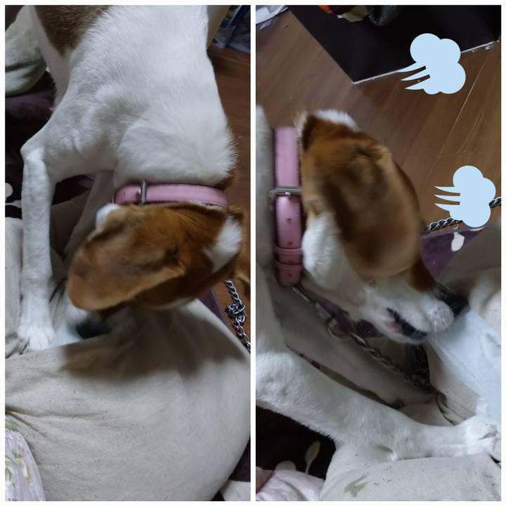 Cda48f1c 35c2 4d25 8ffe 4fe81fb8a171 1586689638288