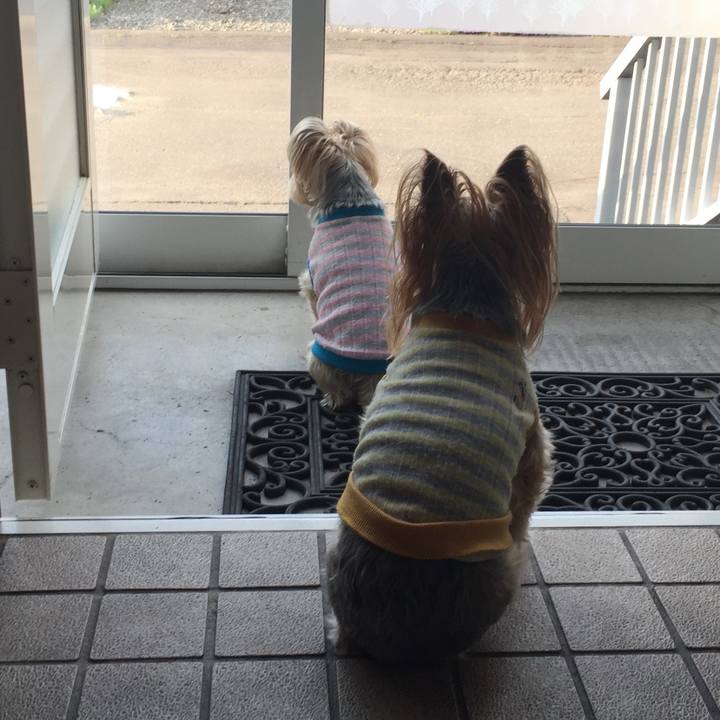 Cda49213 919f 48e2 972c bb80783b5a94 1732616127644