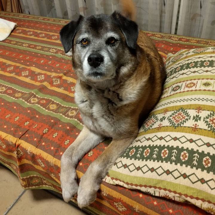 Cda4ad4c f838 4926 a64a c68326ad70cf 1522663018302