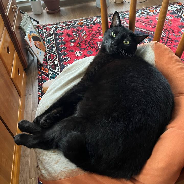 Cda4cec9 19ff 4d84 a037 1a2fc794bffb 1725775158527