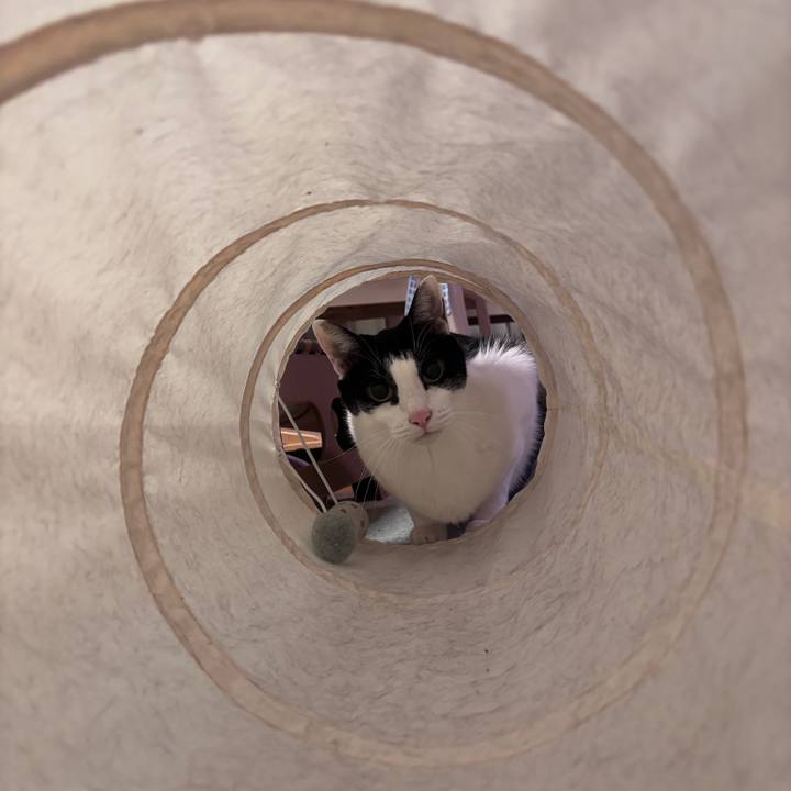 Cda4f41b d9fd 400d a784 18b808138b16 1770826299199