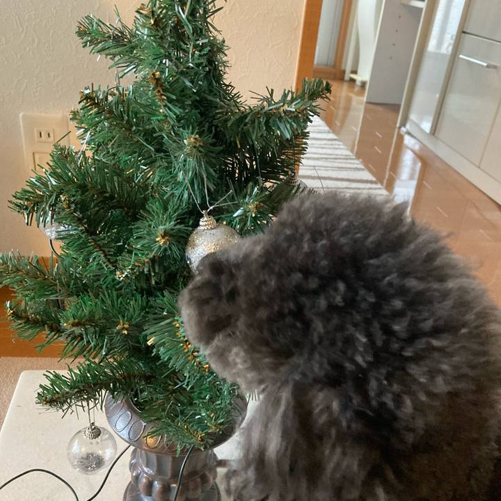 Cda5122f 5a07 4514 b844 b52190a00ba1 1671637452103