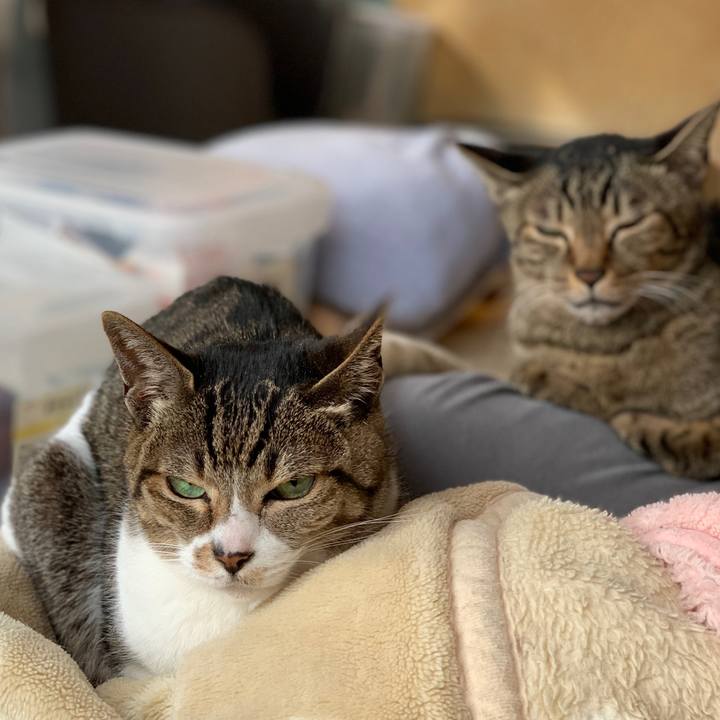 Cda5220b 8be2 479a 9349 4f42fd790e71 1584322150809