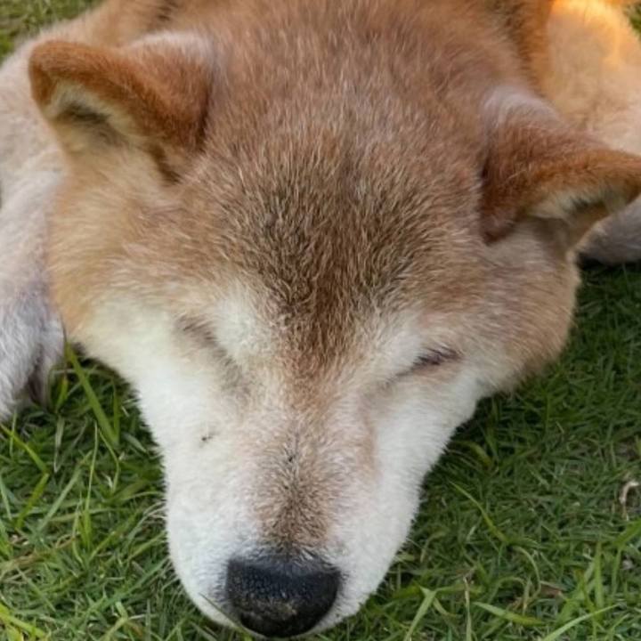 Cda53269 9b50 4e2a afed cc863d299e17 1685069264043