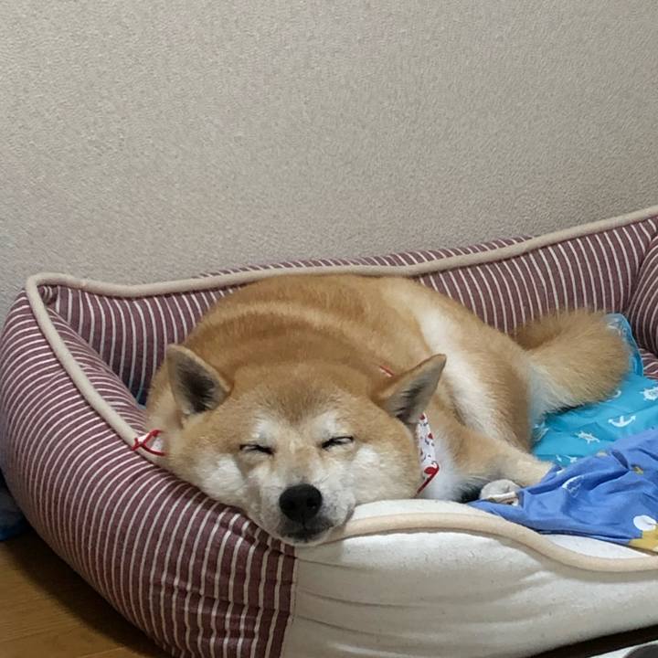 Cda53abe 8c08 4657 a6d3 178f20702d80 1563525743182