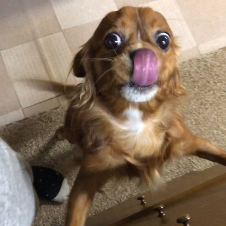 Cda57326 e9fd 4b75 9ee5 a7396df4d071 1550270841246