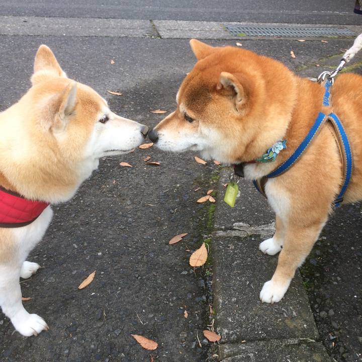 Cda58b32 a257 465e b250 0d7602627a5f 1512397390150