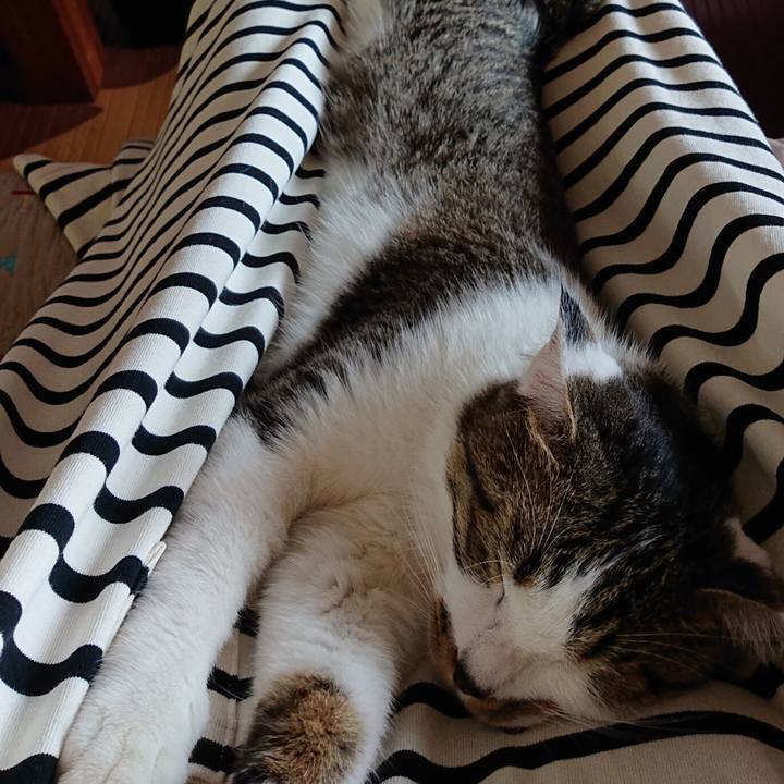 Cda5a670 dd07 4d94 8e0d 3a94dcb34a11 1559885213702