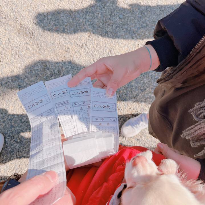 Cda5c213 6563 4a34 8863 45e971d7aeba 1672649086128