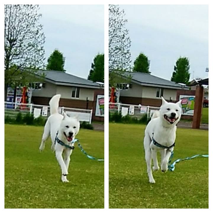 Cda5c701 7a0c 41e0 8770 fd2751cc95b3 1557360225374