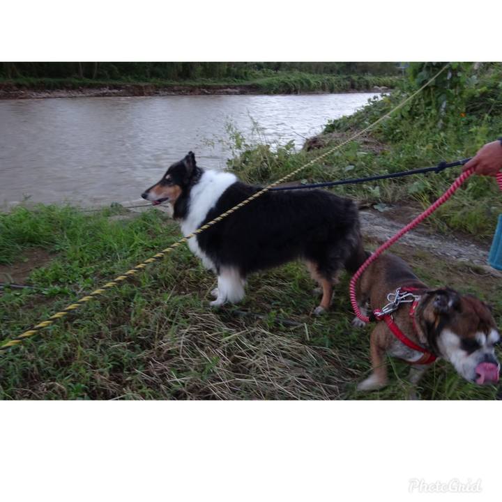 Cda63f43 1427 44ce aaf6 9d6187b95888 1570974339421