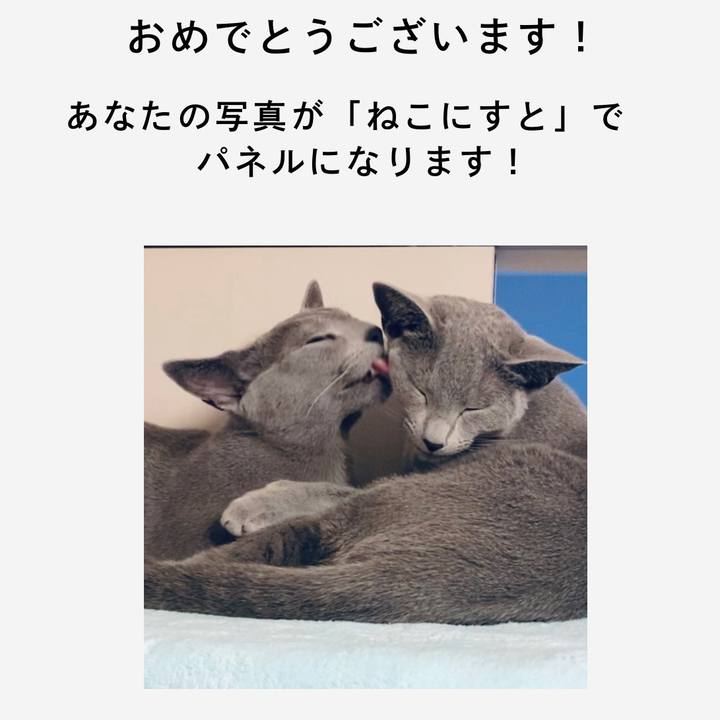 Cda64ba6 f386 4585 af03 e49015576f7a 1636449806192