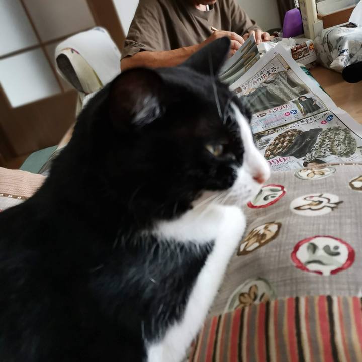 Cda65e68 7ef9 4946 b4b2 3c7f458a6d55 1695958947628