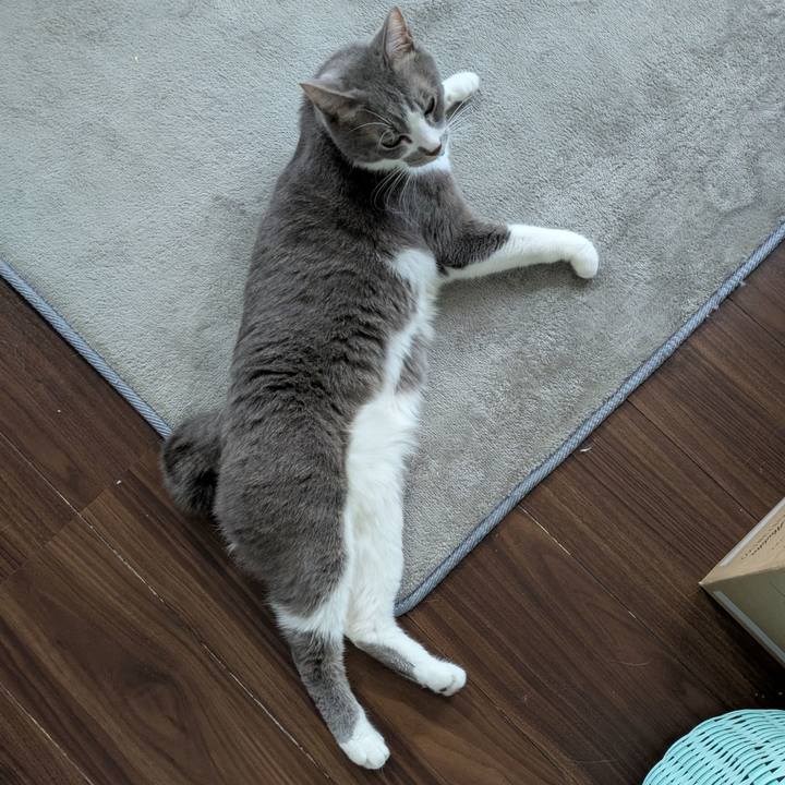 Cda68680 de53 49c0 91fd 00edda000e91 1734844458399