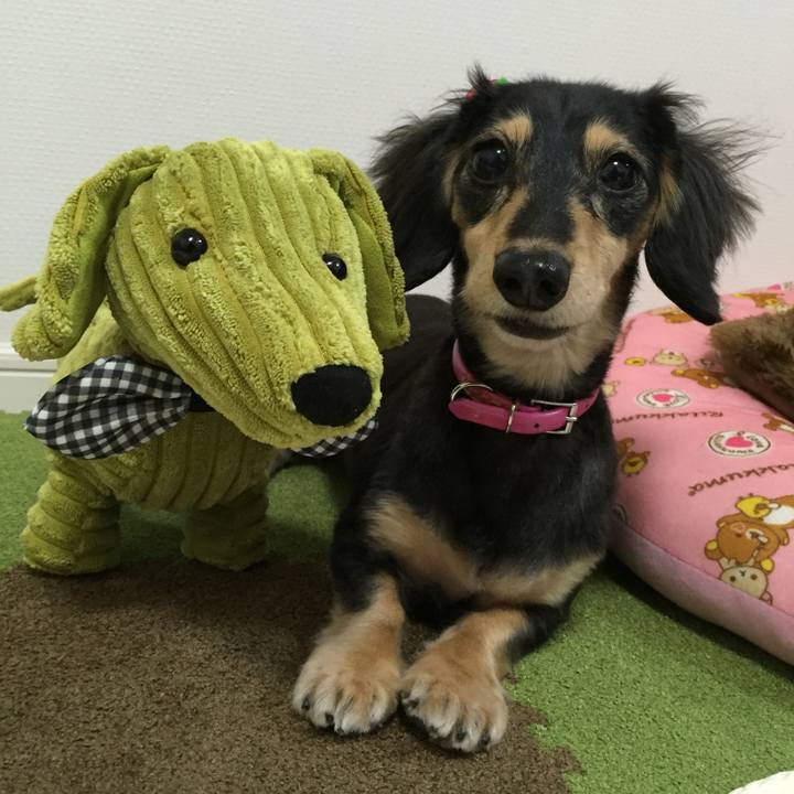 Cda69c7f 35bf 4b7c b17b be57fb8488bb 1510673778314