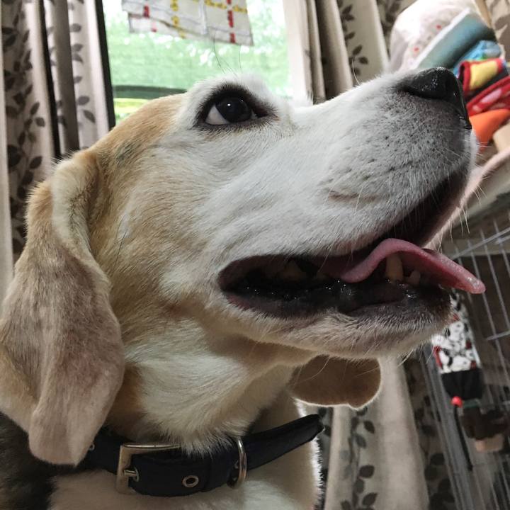 Cda6a77b 9174 49fb 8c21 1e86a9652350 1573615551359