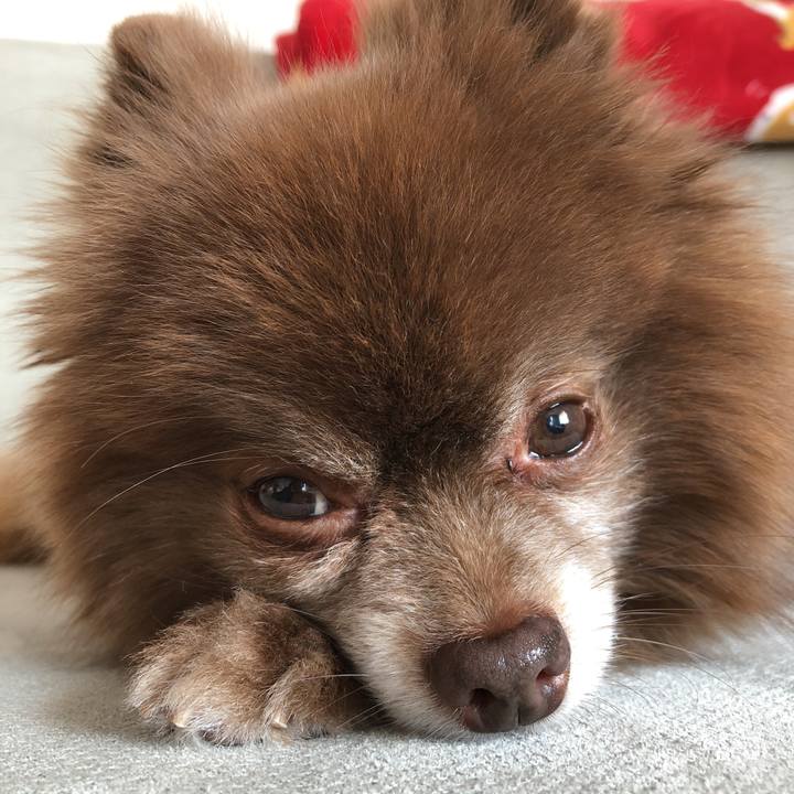 Cda6b185 005b 428a 8d1c 7220bb19ecc5 1547860109456