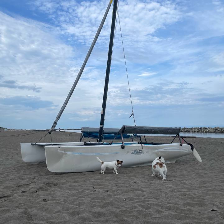 Cda6d505 d7d1 4d7a ae7e fd254eb66128 1724631461208