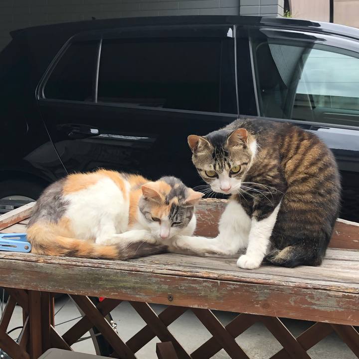 Cda740f8 36a7 44fe ab36 07c0f78460d2 1562346433020