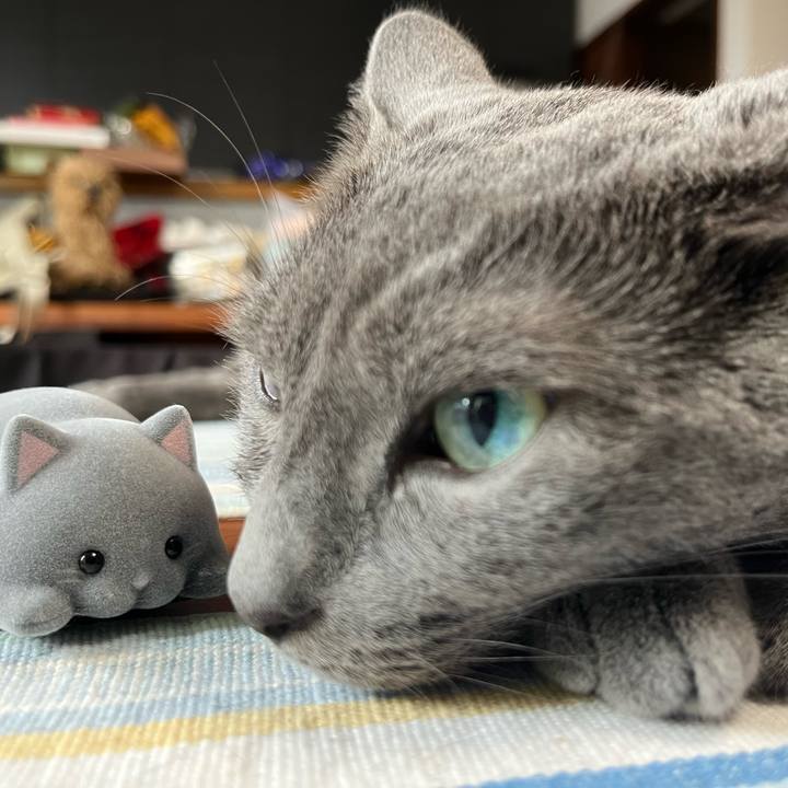 Cda75fb3 8c50 4f5b a892 fd57c6106b34 1688781624662